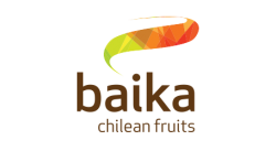 Baika